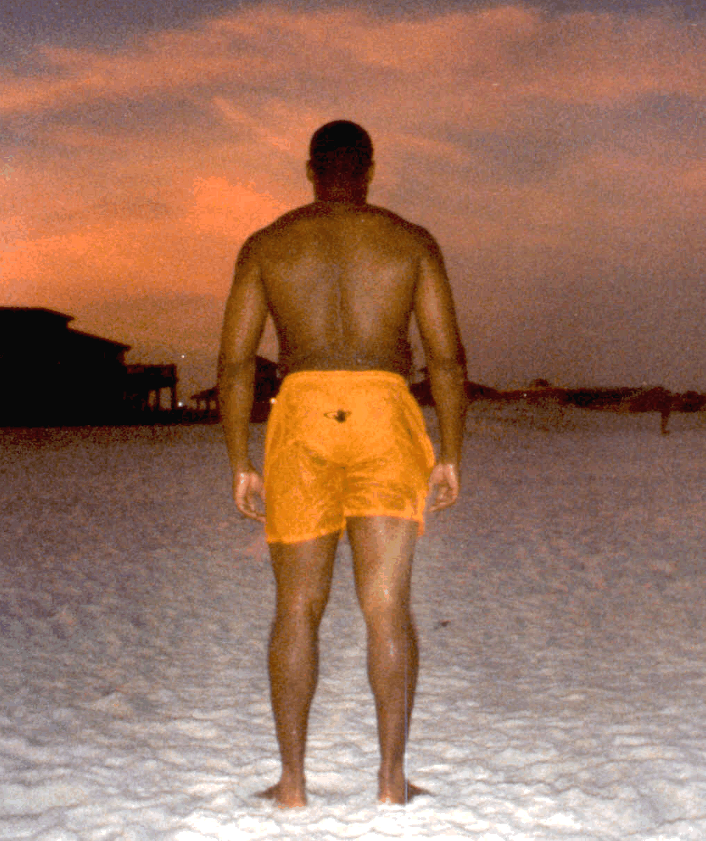 back.gif (616008 bytes)
