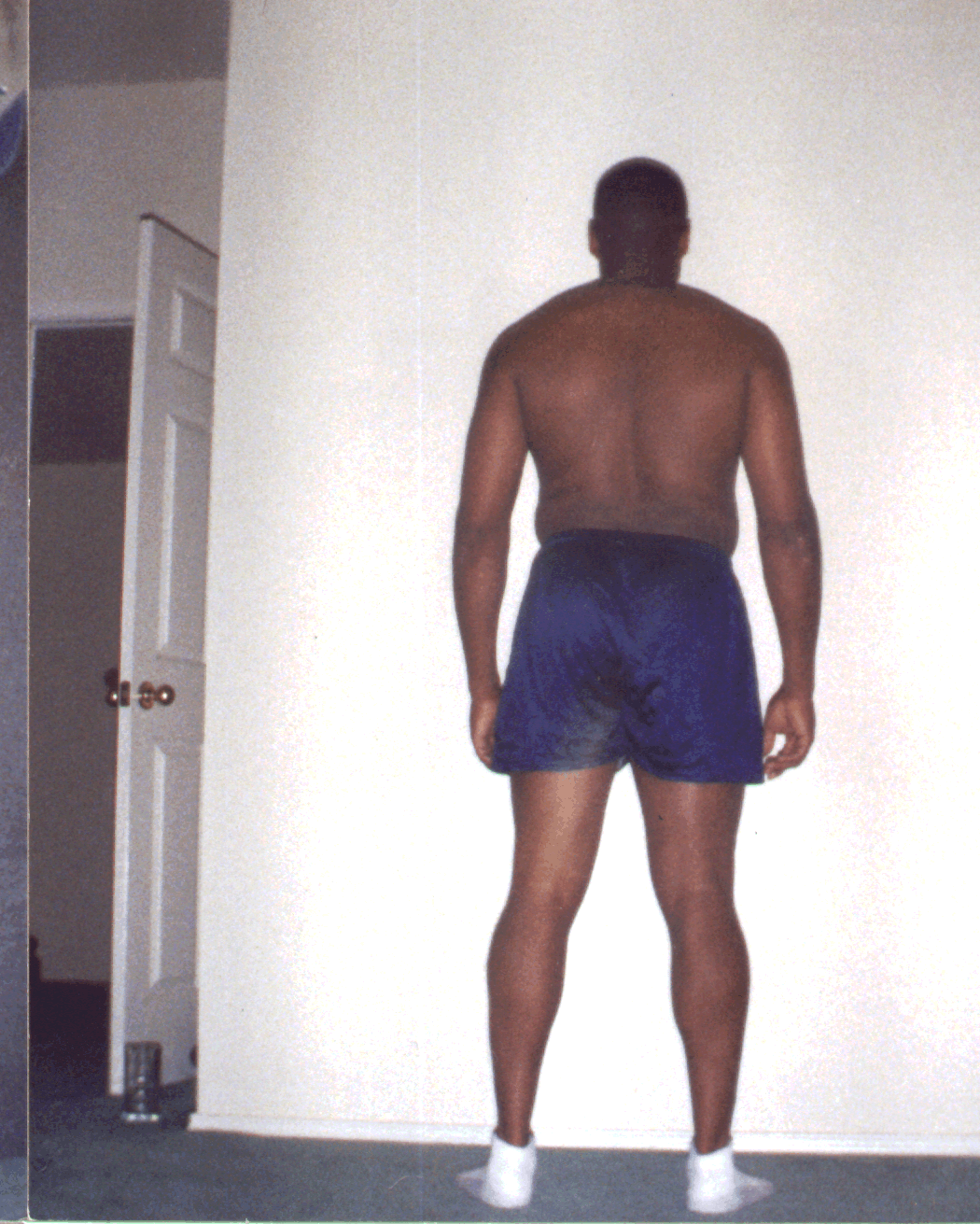 fatonback.gif (804255 bytes)